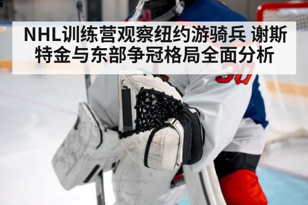 NHL训练营观察纽约游骑兵 谢斯特金与东部争冠格局全面分析 | KAIYUN